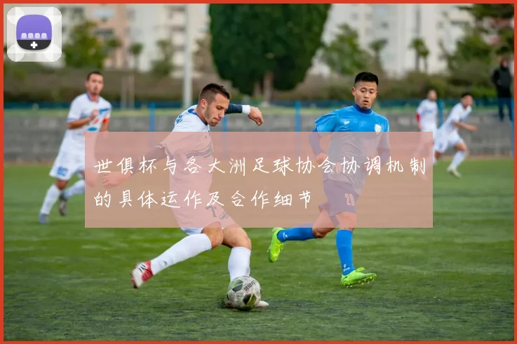 世俱杯与各大洲足球协会协调机制的具体运作及合作细节