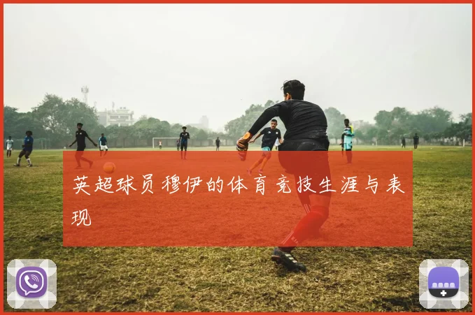 英超球员穆伊的体育竞技生涯与表现