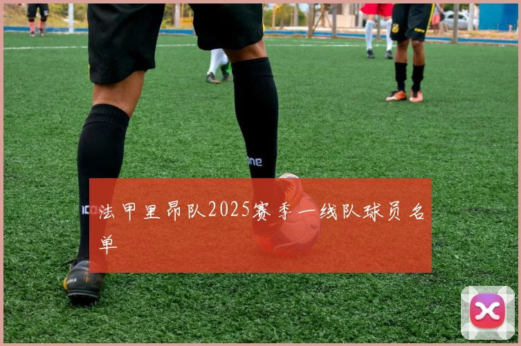 法甲里昂队2025赛季一线队球员名单