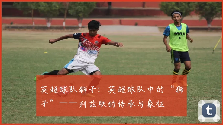 英超球队狮子：英超球队中的“狮子”——利兹联的传承与象征