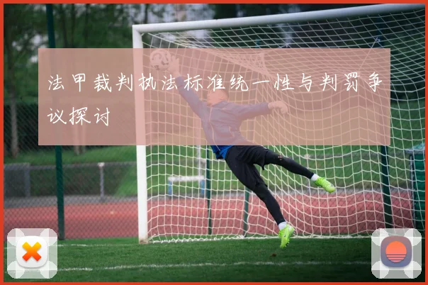 法甲裁判执法标准统一性与判罚争议探讨