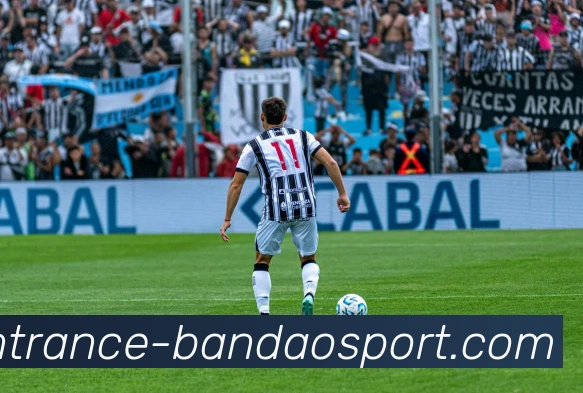 半岛体育发展历程